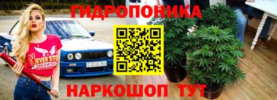 гашишное масло Моздок
