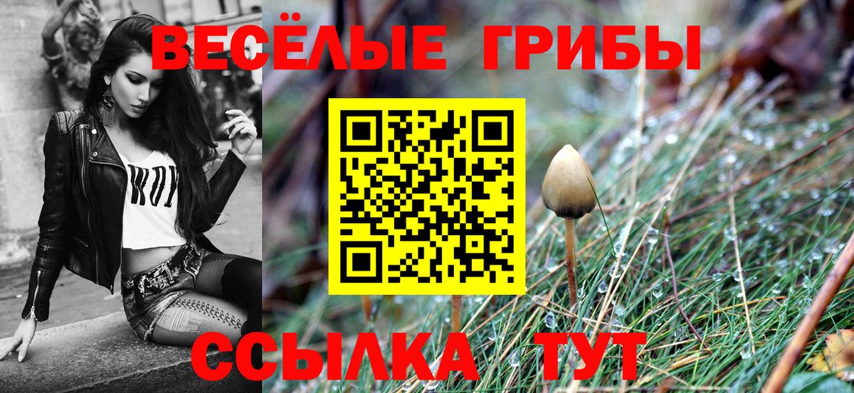 Галлюциногенные грибы Psilocybe Сызрань