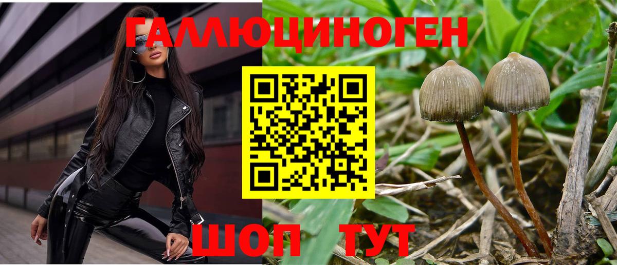 Галлюциногенные грибы Cubensis  Галлюциногенные грибы Psilocybe  Сызрань  Вход с VPN 
